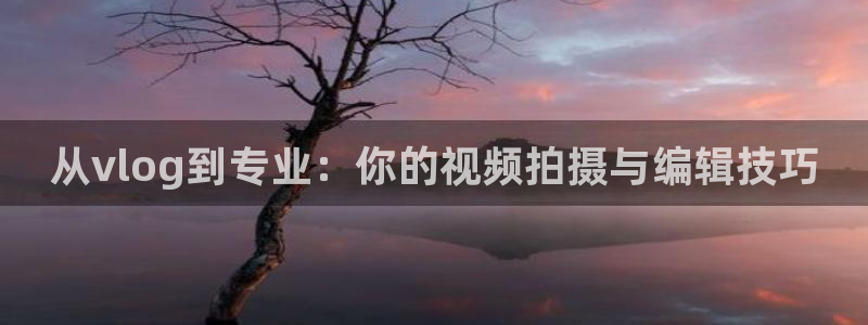 糖心vlog免费版下载：从vlog到专业：你的视频拍摄与编辑技巧